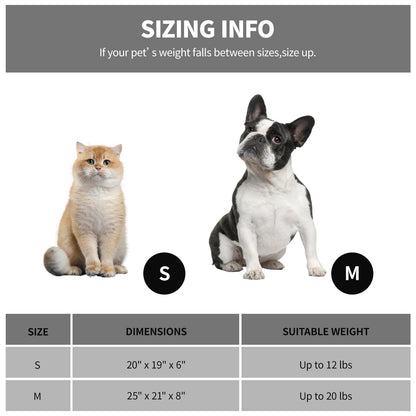 Looyn 20In Dog Bed for Small Dogs & Cats - Washable Rectangle Cat Kitten Bed for Indoor Pets, Cozy Cute Puppy Bed with Non-Slip Bottom(Green, Small)